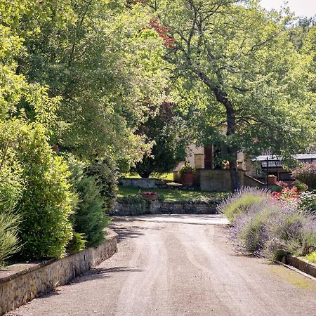 卡斯蒂里昂·菲奥伦蒂Il Giardino Delle Giare别墅 外观 照片